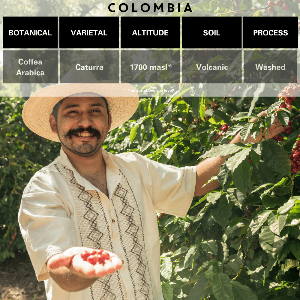 Colombia Single Origin Coffee - Image 3