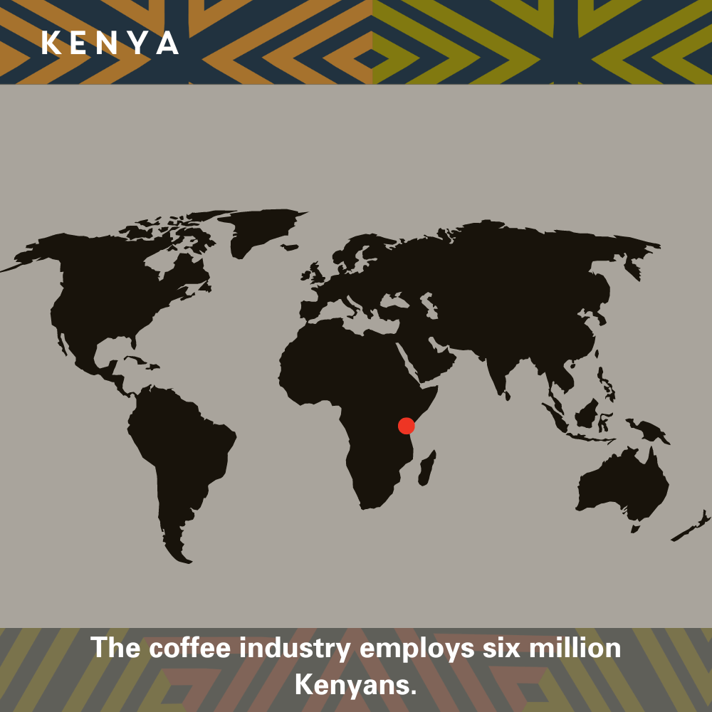 Kenya Single Origin Coffee - Image 2
