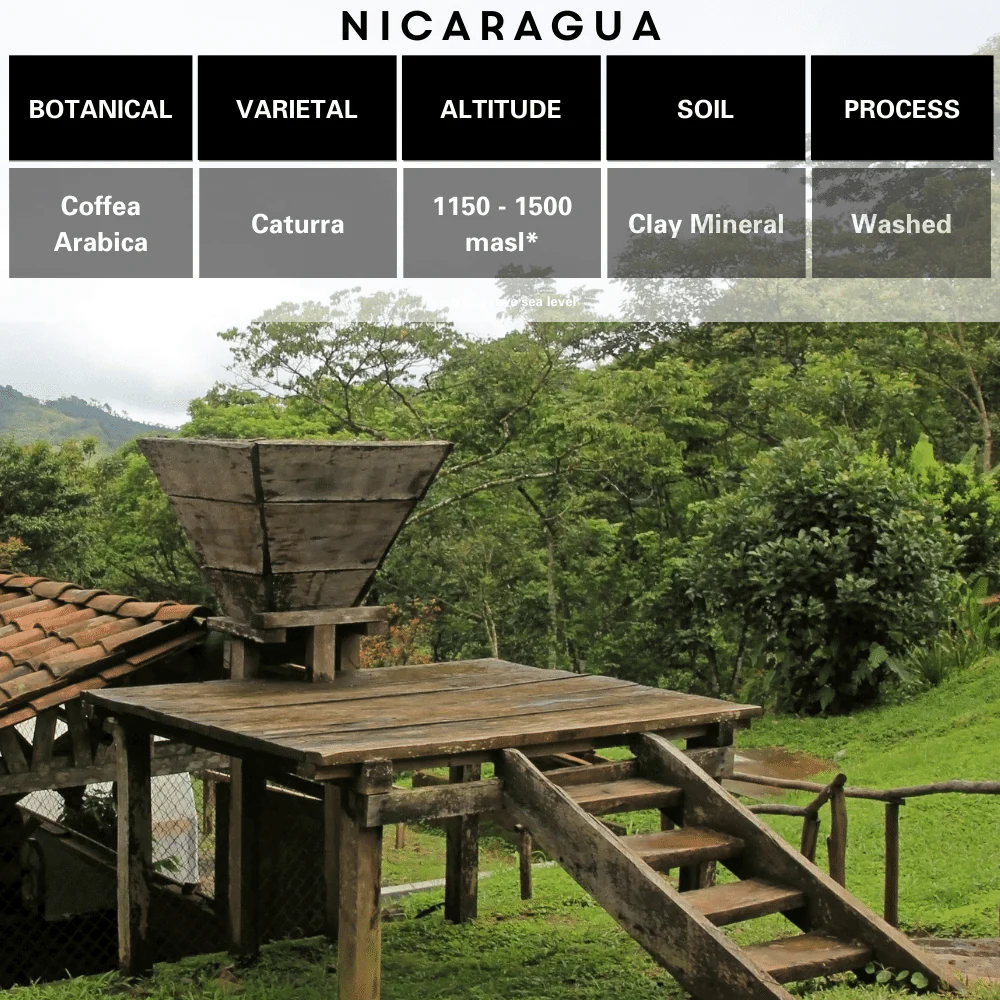 Nicaragua Single Origin Coffee - Image 3